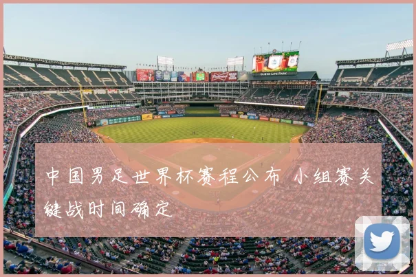 中国男足世界杯赛程公布 小组赛关键战时间确定